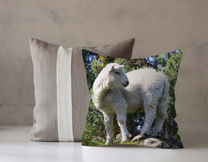 Animal Cushions