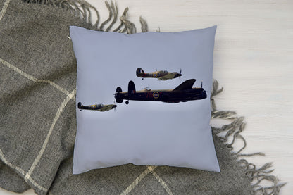 Aviation Cushions